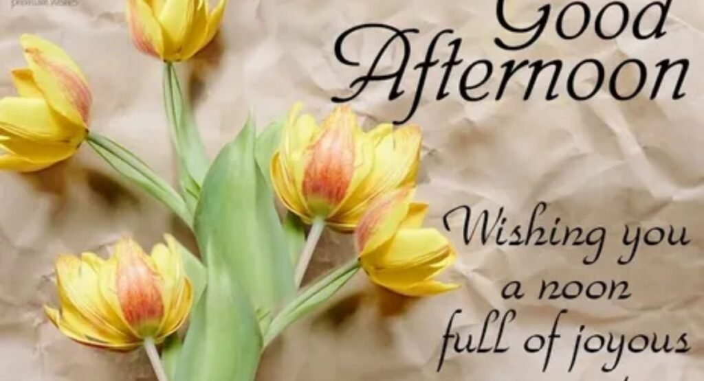 300 best good afternoon message for her filled with love beautiful quotes and care