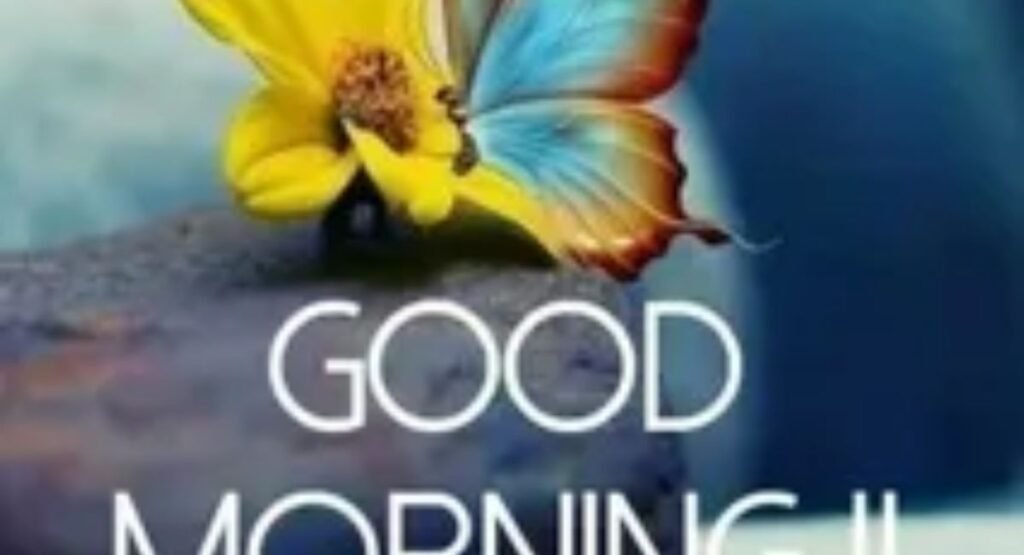 cute wednesday morning images for friends and family