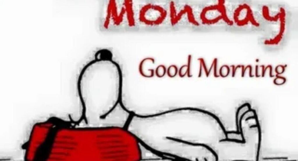funny good morning monday quotes to make you smile