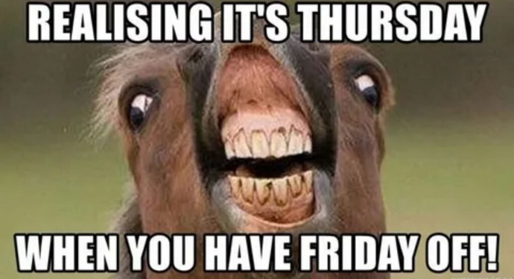 funny thursday memes to get you through the day