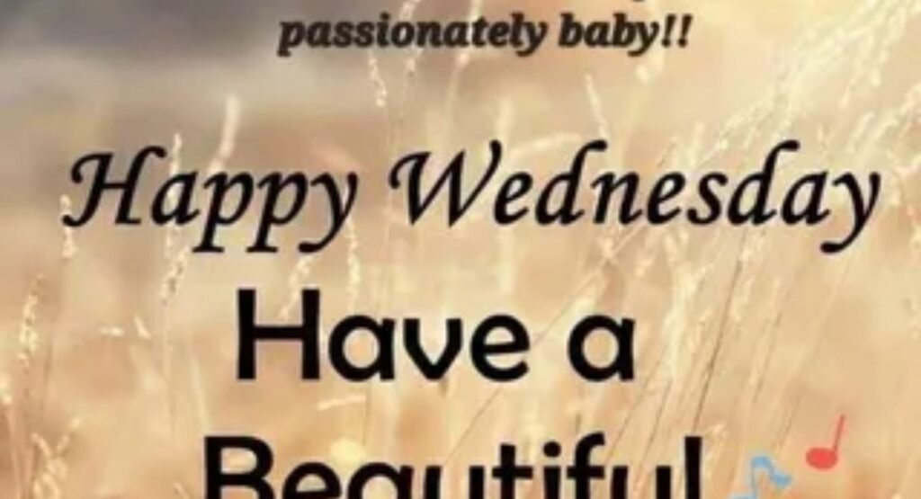 funny wednesday quotes to lighten up your midweek mood