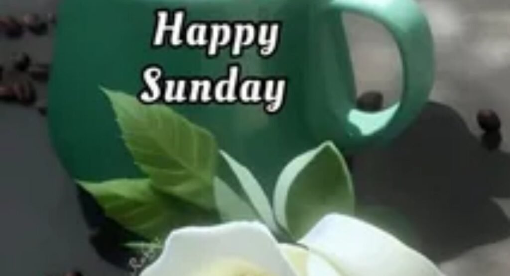150+ Good Morning Sunday Blessings, Quotes & Wishes to Start Your Day Right good morning sunday wishes for family and friends