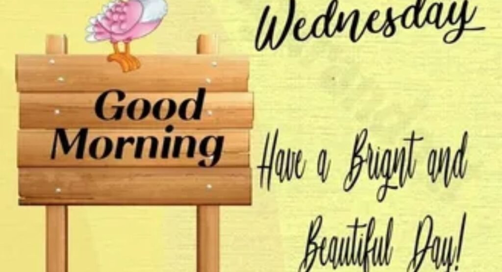 good morning wednesday funny best quotes images and wishes to make your midweek hilarious