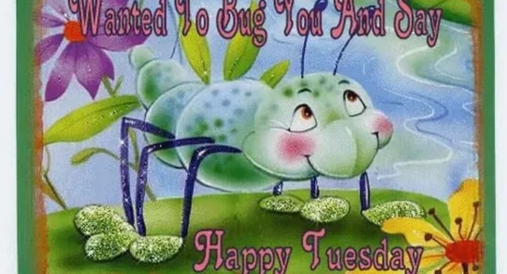 Happy Tuesday Funny: 150+ Hilarious Quotes, Memes & Wishes to Kickstart Your Day how to use these happy tuesday funny quotes
