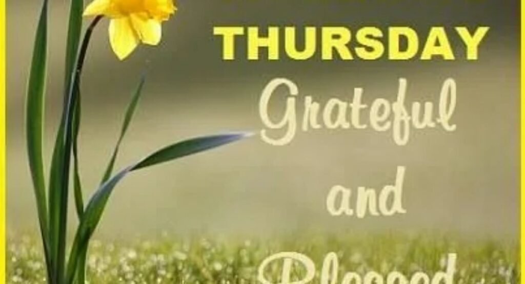 how to use these thankful thursday images and quotes