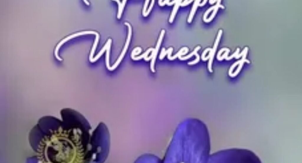 inspirational wednesday morning images to stay motivated