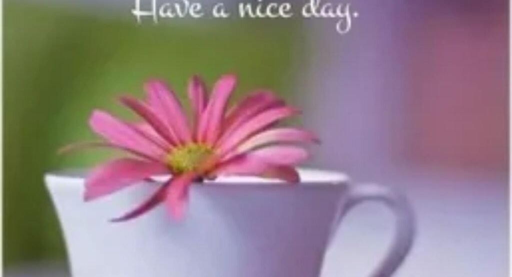 thankful thursday morning blessings