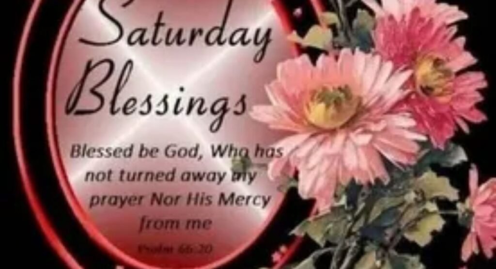 funny and playful saturday blessings gif