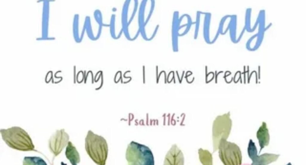 prayers with scripture for guidance wisdom and gods will